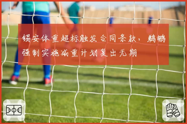 锡安体重超标触发合同条款，鹈鹕强制实施减重计划复出无期