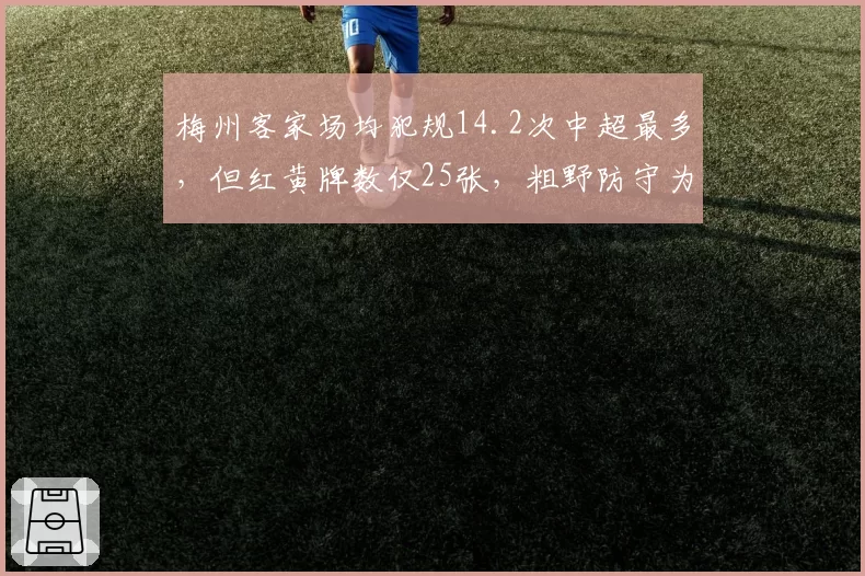 梅州客家场均犯规14.2次中超最多,但红黄牌数仅25张,粗野防守为何能保级成功?