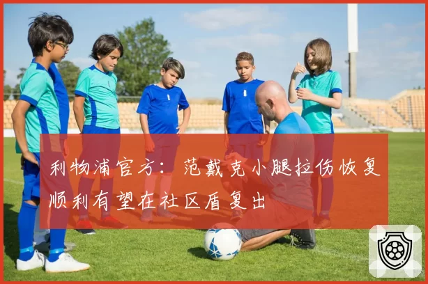 利物浦官方:范戴克小腿拉伤恢复顺利有望在社区盾复出