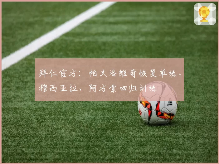 拜仁官方：帕夫洛维奇恢复单练，穆西亚拉、阿方索回归训练